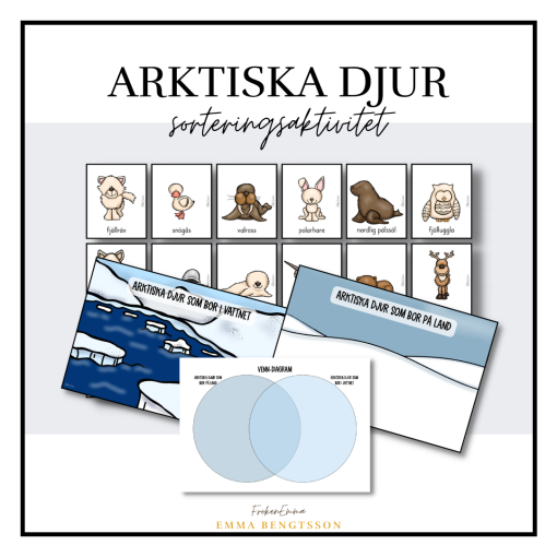 Arktiska djur - sorteringsaktivitet