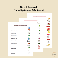 Läs och dra streck - Ljudenlig stavning (Montessori)