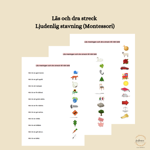 Läs och dra streck - Ljudenlig stavning (Montessori)