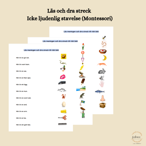 Läs och dra streck - icke ljudenlig stavning (Montessori)