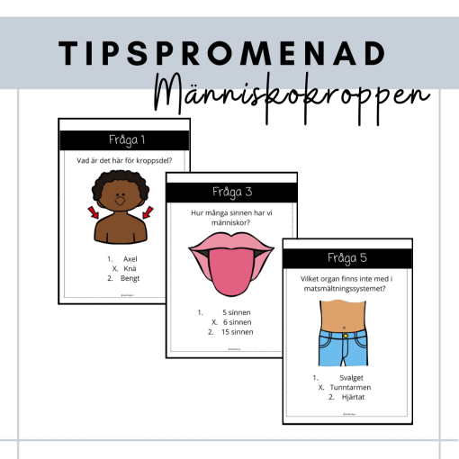 Tipspromenad - människokroppen