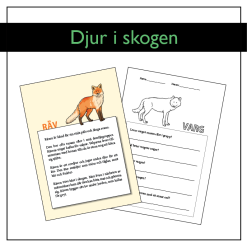 Djur i skogen: Fakta- och arbetspapper