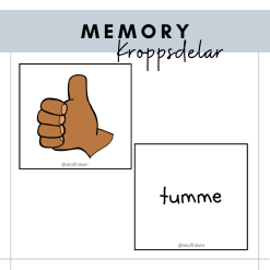Memory kroppen