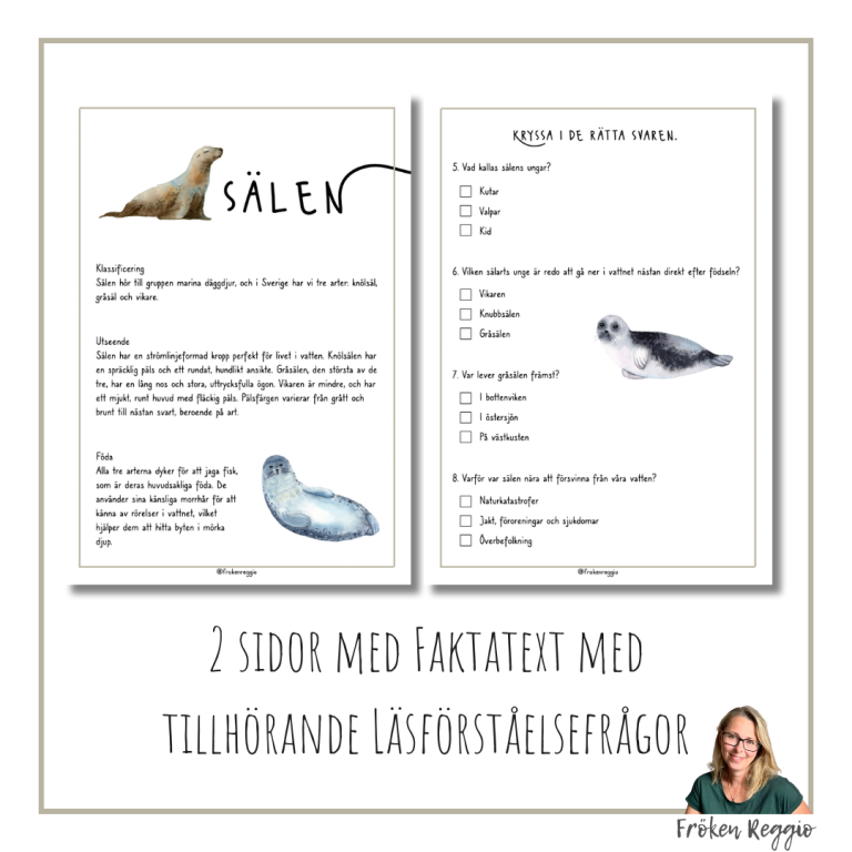 Faktatext Om Sälen | Teach Academy