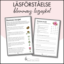 Läsförståelse blommans livscykel