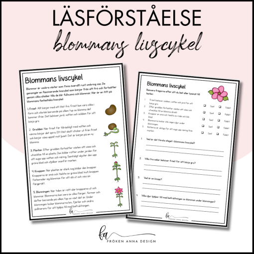 Läsförståelse blommans livscykel