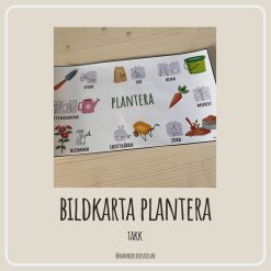 Bildkarta plantera