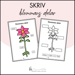 Skriv och fyll i - blommans delar