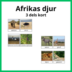 Afrikas djur 3 del