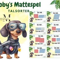 Mattespel- Talsorter (32kort)