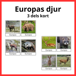 Europas djur 3 del