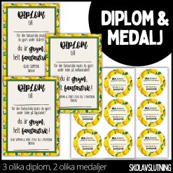Diplom & medalj – 3 olika diplom / 2 olika medaljer - 1