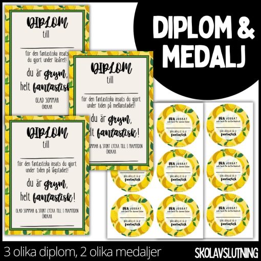 Diplom & medalj – 3 olika diplom / 2 olika medaljer - 1