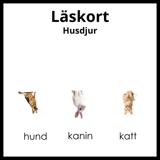 Läskort - Husdjur