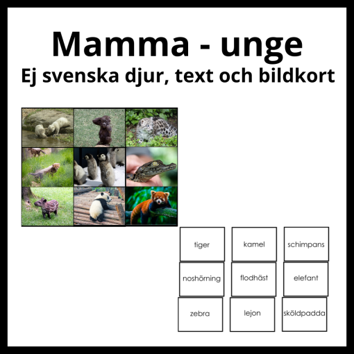 Mamma - unge ej svenska djur, bild och textkort