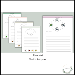 Livscykler - 9 stycken