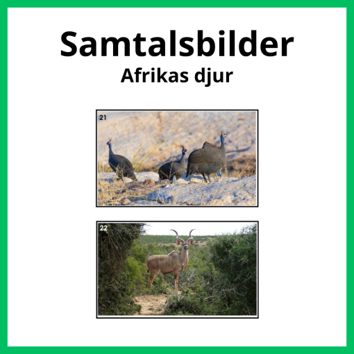 Samtalsbilder Afrikas djur