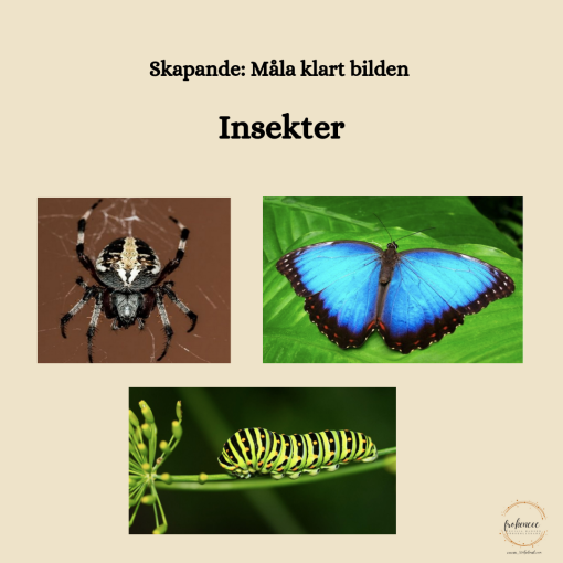 Måla klart bilden