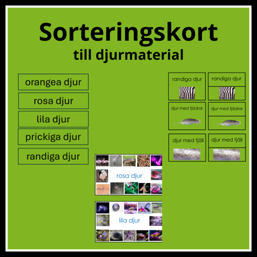 Sorteringskort till sortera djur materialen