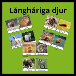 Långhåriga djur