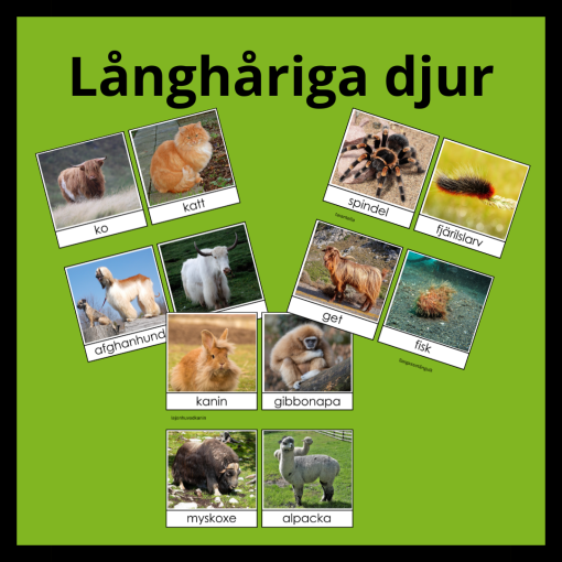 Långhåriga djur