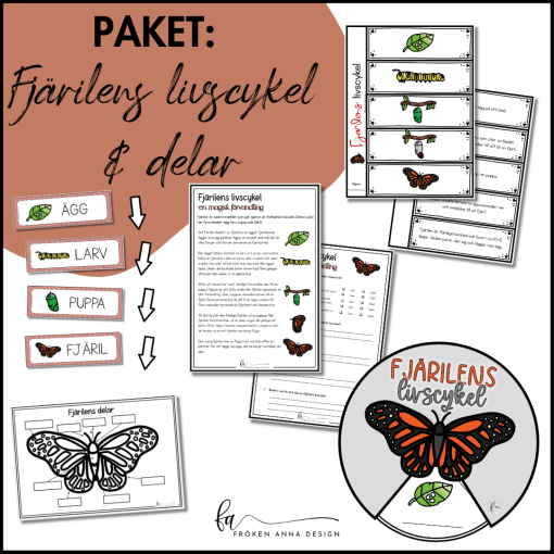 PAKET: Fjärilens livscykel & delar