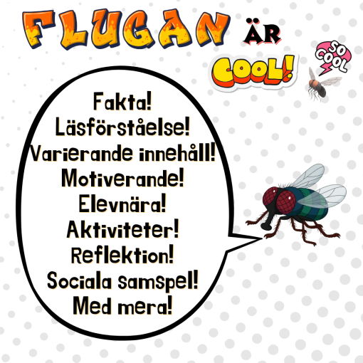 Flugan är cool!