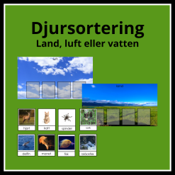 Djursortering - luft, land eller vatten