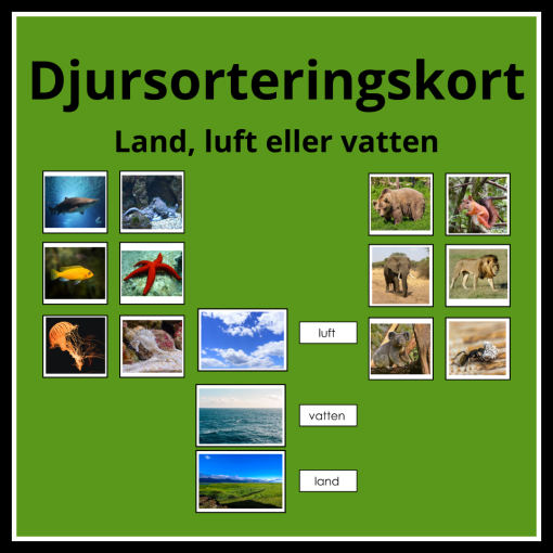 Djursortering kort - luft, land eller vatten