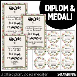 Diplom & medalj – 3 olika diplom / 2 olika medaljer - 8