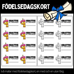 Födelsedagskort - materialpaket med två olika designs