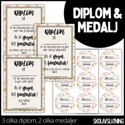 Diplom & medalj – 3 olika diplom / 2 olika medaljer - 4