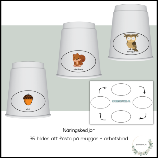 Näringskedjor - 36 bilder + arbetsblad