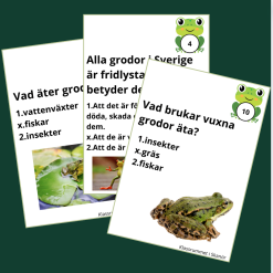 Tipsrunda om grodor