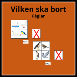 Vilken bild ska bort? fåglar