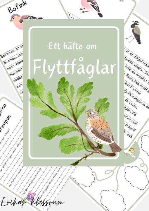 Arbetshäfte om flyttfåglar