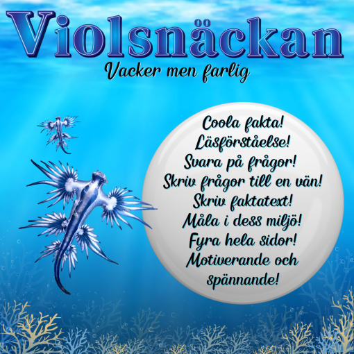 Violsnäckan - Vacker men farlig