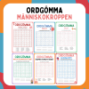 Ordgömma: Människokroppen (flerpack)