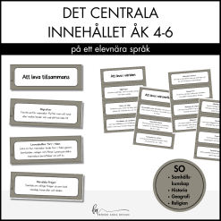 Centrala innehållet åk 4-6 på ett elevnära språk: SO