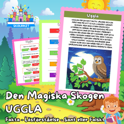 Den magiska skogen – UGGLA – Fakta – Läsförståelse – Sant eller Falskt