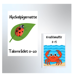 Praktisk matte
