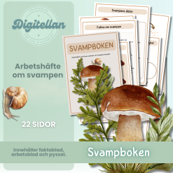 Svampboken - svampens delar och livscykel