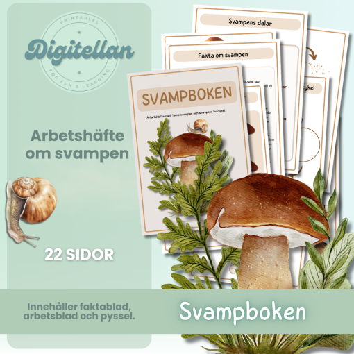Svampboken - svampens delar och livscykel