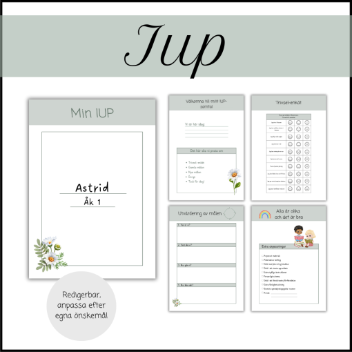IUP-samtal