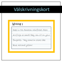 100 st Välskrivningskort - engelska