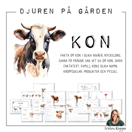 Djuren på gården - Kon