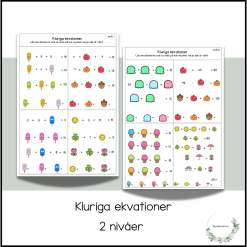 Kluriga ekvationer