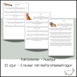 Husdjur - 10 faktatexter (3 nivåer)