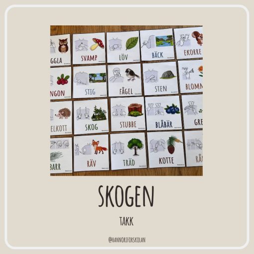 TAKK skogen