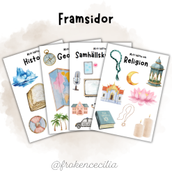 Framsidor SO